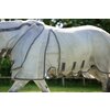 Miniaturansicht: HORSEWARE Fliegendecke RAMBO Optimo Protector Plus &ndash; Ansicht 7