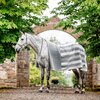 HORSEWARE Fleecedecke Newmarket Fleece