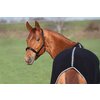 Miniaturansicht: Horse-friends Abschwitzdecke Wakefield – Ansicht 2
