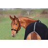 Miniaturansicht: Horse-friends Abschwitzdecke Wakefield – Ansicht 3