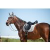 EQuest Fliegenohren EQ Globe