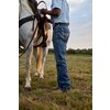 Miniaturansicht: ARIAT Jeans M4 Relaxed Boot Cut Coltrane &ndash; Ansicht 4