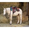 Miniaturansicht: L-pro West Western Doppel-Sattelpacktasche &ndash; Ansicht 4