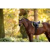 Miniaturansicht: LeMieux Core Schabracke Loire Classic Satin &ndash; Ansicht 3