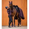 Miniaturansicht: Cavallo Fliegenohren CAVALJACKIE &ndash; Ansicht 3