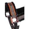 Miniaturansicht: Cavallo Halfter CAVALLILLY – Ansicht 2