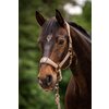 Miniaturansicht: Cavallo Halfter CAVALPAWEL &ndash; Ansicht 3