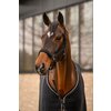 Miniaturansicht: Cavallo Führstrick mit Karabinerhaken CAVALREY &ndash; Ansicht 5