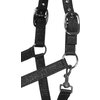 Miniaturansicht: Cavallo Halfter CAVALROSE &ndash; Ansicht 3