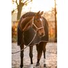 Miniaturansicht: Cavallo Halfter CAVALROSE &ndash; Ansicht 8