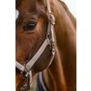Miniaturansicht: Cavallo Halfter CAVALROSE &ndash; Ansicht 5