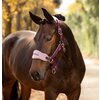 Miniaturansicht: LeMieux Halfter Vouge Headcollar & Leadrope &ndash; Ansicht 4