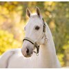 Miniaturansicht: LeMieux Halfter Heritage Headcollar &ndash; Ansicht 2