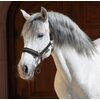Miniaturansicht: Horse-friends Spanisches Halfter Sevilla &ndash; Ansicht 2