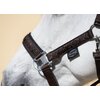 Miniaturansicht: Horse-friends Spanisches Halfter Sevilla &ndash; Ansicht 4