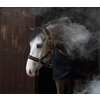 Miniaturansicht: Horse-friends Halfter Halloween &ndash; Ansicht 2