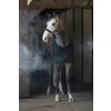 Miniaturansicht: Horse-friends Halfter Halloween &ndash; Ansicht 7