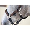 Miniaturansicht: Horse-friends Halfter Halloween &ndash; Ansicht 4