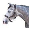 Miniaturansicht: Horse-friends Halfter Halloween &ndash; Ansicht 1