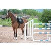 Miniaturansicht: Horse-friends Lammfell-Schabracke Mesh – Ansicht 7