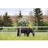 Miniaturansicht: KERBL cit Fliegenfalle FlyCage6 – Ansicht 5