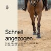 Miniaturansicht: GOODSMITH Hufschuh &ndash; Ansicht 8