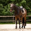 Miniaturansicht: Cavallo Gamaschen CAVALJOCA &ndash; Ansicht 4