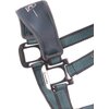 Cavallo Halfter CAVAL SOFTSHELL HEAD COLLAR