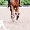KENTUCKY Garmaschen Brushing Boots Leather für Vorderbeine