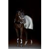 Miniaturansicht: PROTECT by Horse-friends Hufglocken – Ansicht 6