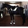 PROTECT by Horse-friends Trensen-Set reflektierend