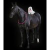 Miniaturansicht: PROTECT by Horse-friends LED-Halsriemen für Pferde – Ansicht 3