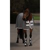 Miniaturansicht: PROTECT by Horse-friends Reflektierendes Halfter &ndash; Ansicht 2