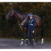 Miniaturansicht: Covalliero LED Leuchtstab &ndash; Ansicht 6
