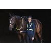 Miniaturansicht: Covalliero LED Funktionsweste &ndash; Ansicht 5