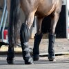 Cheval de Luxe Transportgamaschen