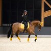 Miniaturansicht: ESKADRON Platinum Schabracke Pro Soft – Ansicht 4