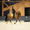 Miniaturansicht: ESKADRON Platinum Schabracke Pro Soft – Ansicht 5