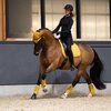 Miniaturansicht: ESKADRON Platinum Schabracke Pro Soft – Ansicht 6