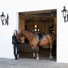 Miniaturansicht: ESKADRON Platinum Gamaschen Pro Dressage Front, für die Vorderbeine – Ansicht 3