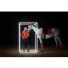 Miniaturansicht: ESKADRON Dynamic Schabracke Biq Square Jewel – Ansicht 4