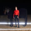 Miniaturansicht: ESKADRON Dynamic Gamaschen Pro Dressage, für die Hinterbeine – Ansicht 3