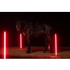 Miniaturansicht: ESKADRON Dynamic Gamaschen Pro Dressage, für die Vorderbeine – Ansicht 2