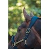 Miniaturansicht: ESKADRON Heritage Halfter Faux Leather Double Pin – Ansicht 4