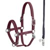 Miniaturansicht: ESKADRON Classic Sports Halfter & Führ- und Anbindestrick-Set Jewel II &ndash; Ansicht 3