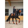 Miniaturansicht: ESKADRON Platinum Schabracke Sparkle Jewel &ndash; Ansicht 3
