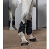 Miniaturansicht: ESKADRON Dynamic Gamaschen Mesh, für Vorder- und Hinterbeine &ndash; Ansicht 3