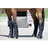 Miniaturansicht: PROTECT by Horse-Friends Transportgamaschen Premium – Ansicht 3