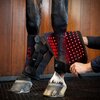 HORSEWARE Gamasche LED Red Light Therapy Leg Wraps, für die Vorderbeine