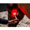 Miniaturansicht: HORSEWARE Therapiestab LED Red Light Therapy – Ansicht 6